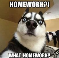 Image result for Kid Doing Homework Meme