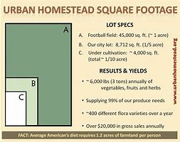 Image result for How Big Is Square Feet in an Acre of Land
