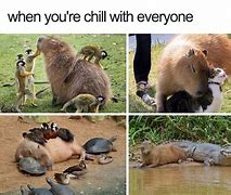 Image result for Chillin On a Beach Meme