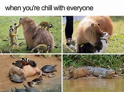 Image result for When You Chillin Meme