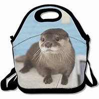 Image result for OtterBox Lunch Bag