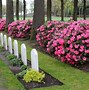 Image result for Poultney Cemetery Flower Rules
