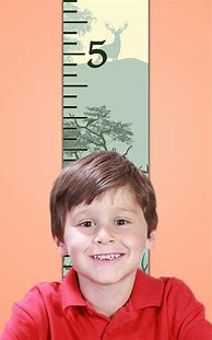 Image result for Metric Height Chart