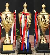 Image result for Championship Cup Trophies