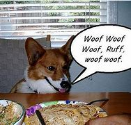 Image result for Woof Woof Woof Dawg Pound