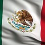 Image result for Mexican Flag Vector
