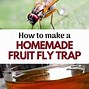 Image result for Fruit Fly Trap with Vinegar
