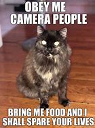 Image result for Cute Evil Cat Memes