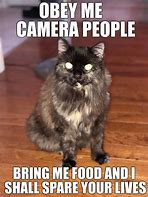Image result for Cats Are Evil Meme