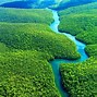 Image result for Amazon Rainforest Screensaver