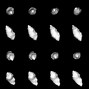 Image result for Asteroid Examples