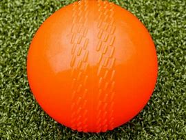 Image result for Many Cricket Balls