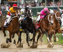 Image result for Steeplechase Horse Race