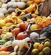 Image result for Fall Produce