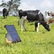 Image result for Solar Electric Fence