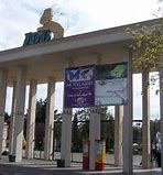 Image result for Zoo W Polsce Z Poczongiem