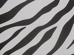 Image result for Zebra Printing Labels