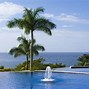 Image result for Costa Rica Palm Trees