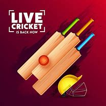 Image result for Cricket Poster Template Background