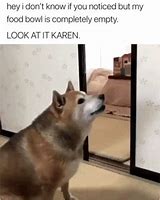 Image result for Karen Dog Meme