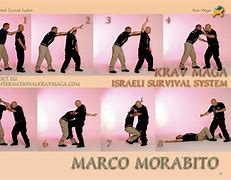 Image result for Aikido Martial Arts Techniques