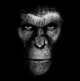Image result for Greenscreen Rise of the Planet Apes