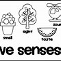 Image result for Five Senses Coloring