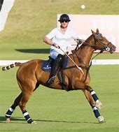 Image result for Prince Harry Polo Match