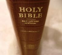 Image result for Bible Food