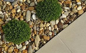 Image result for How to Make Landscape Pebbles with Cement