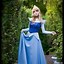 Image result for Disney Sleeping Beauty Aurora Blue Dress