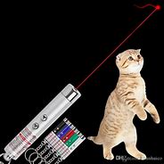 Image result for Cats and Laser Pointers
