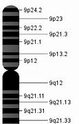 Image result for chromosom_9