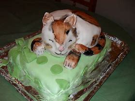 Image result for Amazing Cat Cake