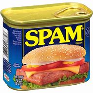 Image result for Spam Canned Meat Pictures