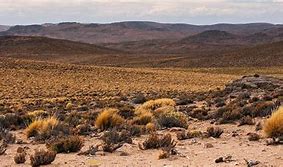 Image result for Patagonian Desert Letter Starting