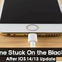 Image result for iPhone Black Screen Fix