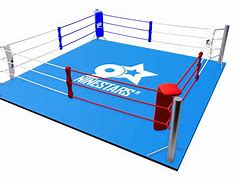 Image result for Boxing Ring Design