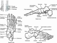 Image result for Men's Wide Feet