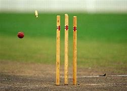Image result for Broken Cricket Wicket