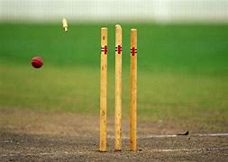 Image result for Ball Hiting the Wicket