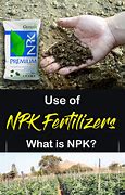 Image result for Mycorrhiza NPK Fertilizer Indoor Plants