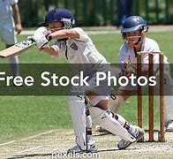 Image result for Cricket Photography Free