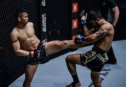 Image result for Muay Thai Moves