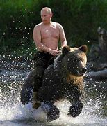 Image result for Vladimir Putin Riding Bear