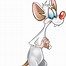 Image result for Pinky and the Brain Transparent PNG