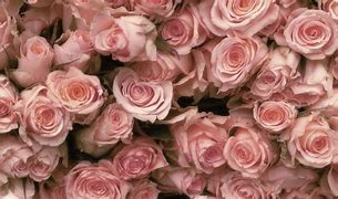 Image result for Vintage Roses Floral Wallpaper