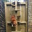 Image result for Outdoor Cat Ladder