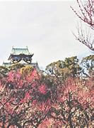 Image result for Osaka Castle Park Automn