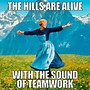 Image result for Teamwork Pictures Funny